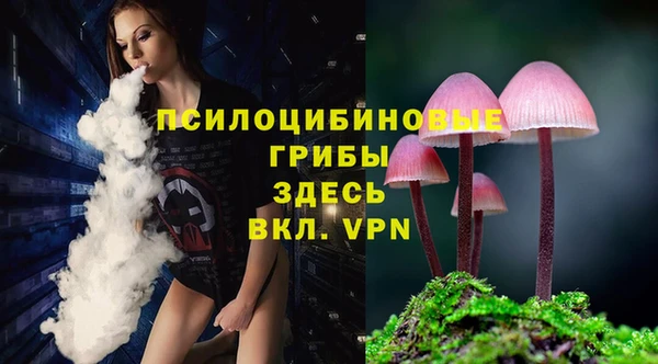 героин Алексин